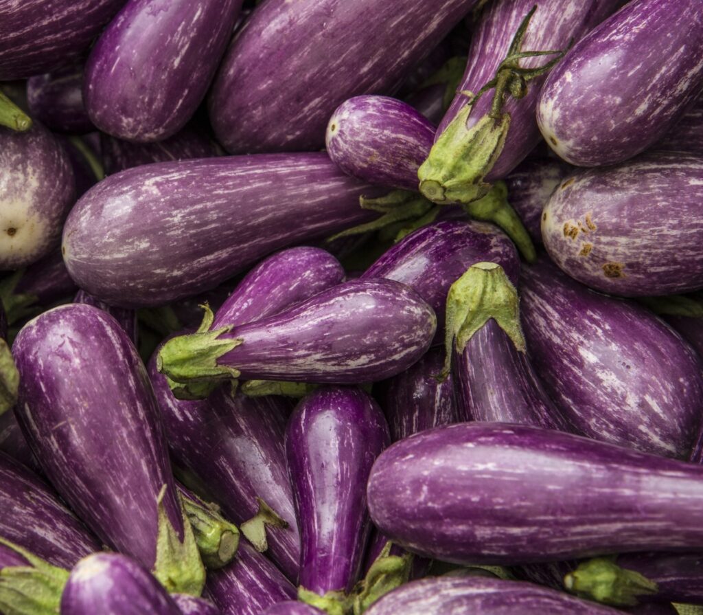 How to Grow Aubergine