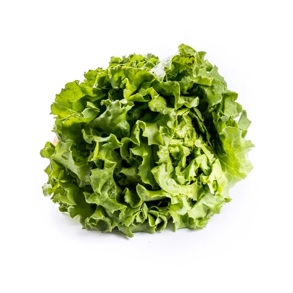 Curly-Lettuce